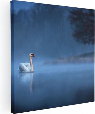 Artaza Canvas Schilderij Zwaan In Mist - 30x30 cm - Klein - Muurdecoratie Vogels - Wanddecoratie Woonkamer - Kamer Accessoires Water