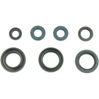 Motorpakkingset ATHENA P400485400210