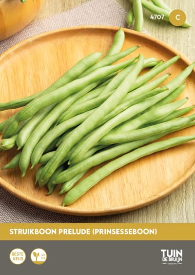 Struikbonen Prelude Zaden – Prinsesseboon Draadloos – Compact ±40 cm – Vroege Oogst – Hoge Opbrengst – ±90 Zaden – Tuin de Bruijn