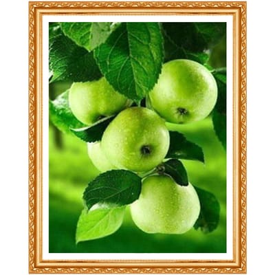 Diamond Painting Fruit Appels Volledige Diamond Borduurpatroon Strass Diamond Kit Decor 20X30CM black