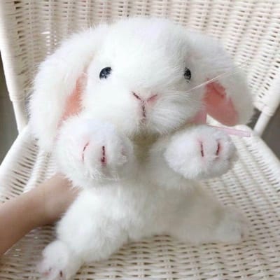 Hoge kwaliteit pluche konijn Speelgoed knuffel konijntje speelgoed simulatie levensechte babypoppen voor kinderen speelgoed voor kinderen huisdecoratie 26cm