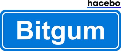 Hacebo - Plaatsnaam Sticker - 29x10 CM - Bitgum sticker - Verkeersborden sticker - grappige cadeaus - Bitgum