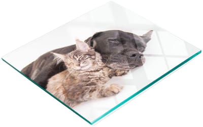 Decoratieve snijplank van gehard glas met afbeelding van een hond en een kat, 60x52 cm