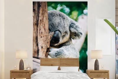 Behang - Fotobehang Koala - Dier - Boom - Breedte 145 cm x hoogte 220 cm