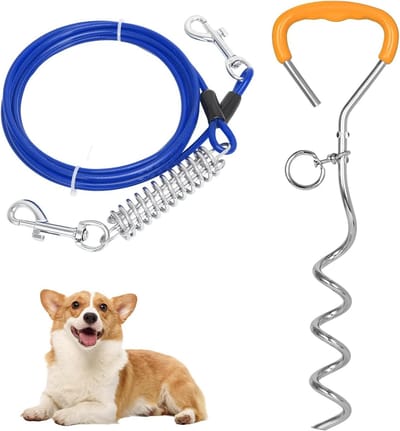 Bodemanker Hond - Grondpin - Veilig Aanlijnen - Spiraalvormig Ontwerp - 42 cm - Blauw