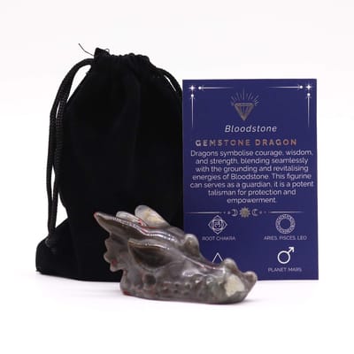 Ancient Wisdom - Hanger - Grote drakenkop van bloedsteen 60x30x35mm - edelsteen - sieraad - juweel - energie - balans - healing