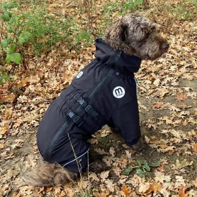 Waterdichte en Winddichte Regenjas voor Honden - Zijdezachte Voering en Comfortabele Pasvorm in Maat M