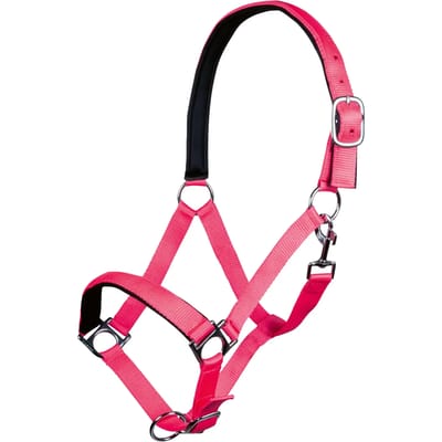 Halster voor paarden HKM Stars Softice