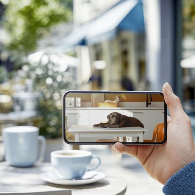 Hondencamera - Huisdiercamera - Babyfoon met Camera en App - Baby Monitor - Full HD - Real-time