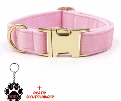 SilverAndCoco® - Licht Roze Honden Halsband met Gratis Sleutelhanger | Velvet Hond Puppy Bandje | Hondenhalsband Suède Gouden | Kleding Decoratie | Hondenbandje Huisdier - Roze / Goud