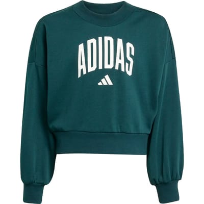 Adidas Seasonals Essentials Collegiate Typography Crewneck Sweatshirt Groen 9-10 Years Meisje