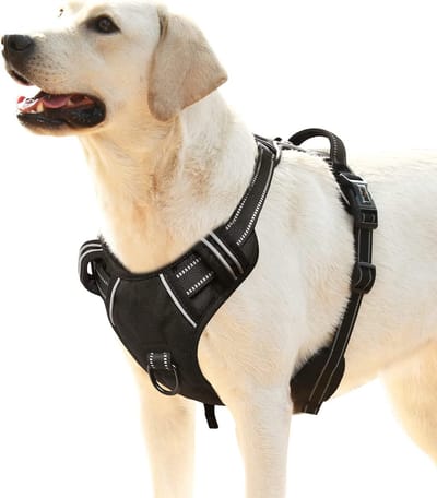 Hondenharnas met Anti-Trekfunctie en Reflecterende Strips - Perfect voor Kleine, Middelgrote en Grote Honden, Maat L