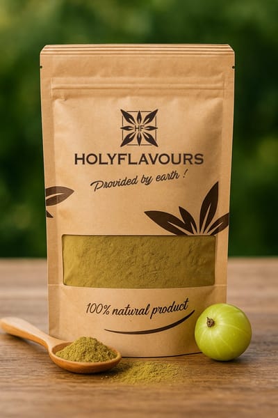 Amla Poeder - 100 gram - Holyflavours