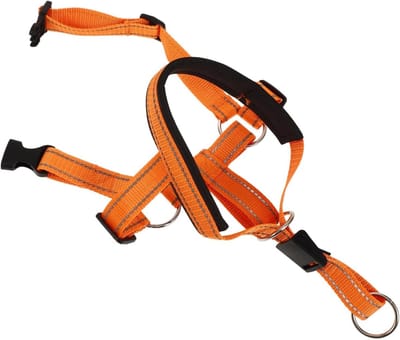 Honden Mondsnoek - Puppy Maska - Gedrag Trainen - Reflecterend Nylon - 33 x 25 x 2.5 cm - Oranje