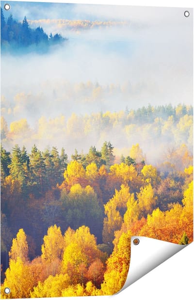 Gards Tuinposter Gekleurde Herfstbos met Mist - 60x80 cm - Tuindoek - Tuindecoratie - Wanddecoratie buiten - Tuinschilderij