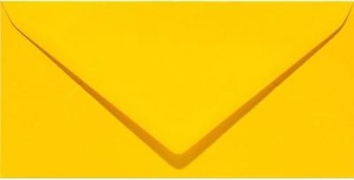 Papicolor Envelop Formaat 110 X 220 Mm Kleur Dottergeel