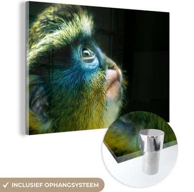 MuchoWow® Glasschilderij 120x80 cm - Schilderij acrylglas - Aap - Vacht - Zwart - Foto op glas - Schilderijen