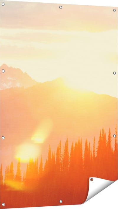 Gards Tuinposter Zonsondergang in het Bos - 80x120 cm - Tuindoek - Tuindecoratie - Wanddecoratie buiten - Tuinschilderij