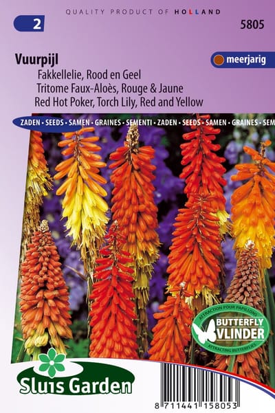 Sluis Garden - Fakkellelie Rood en Geel (Vuurpijl)