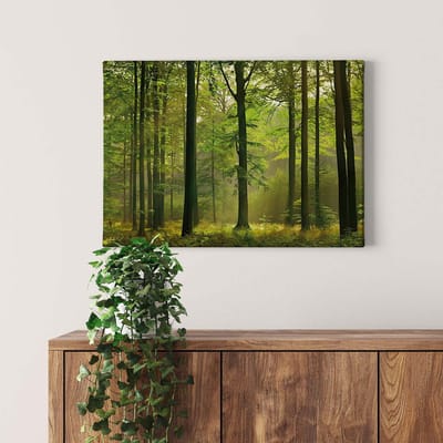 Canvas print DD123014 Autumn Forest A.S. Création 0,7 x 0,5 m Groen Kantoor Hal/Gang Keuken Slaapkamer Woonkamer