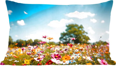 Sierkussens - Kussentjes Woonkamer - 60x40 cm - Bloemenweide - Blauw - Lucht - Kleuren