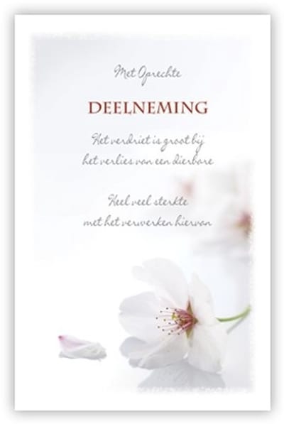 Condoleance kaart "Witte bloem"