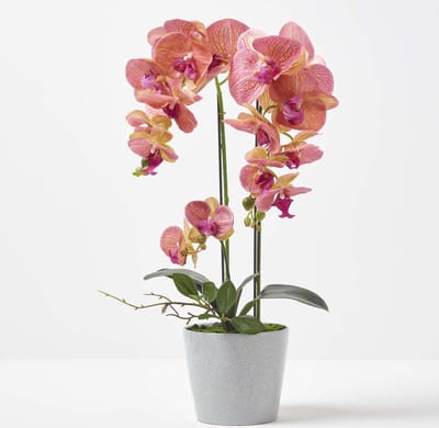 Homescapes Kunstmatige Perzik Phalaenopsis Orchidee in Grijze Keramische Pot 58 cm
