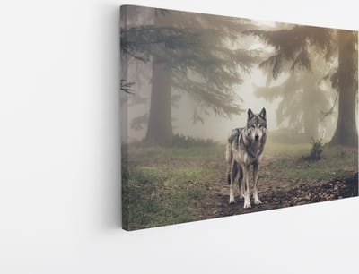 Saammp Canvas Schilderij - Wolf in een bos met mist - Dieren - Natuur - 30x20 - Foto op canvas - Wanddecoratie - muurdecoratie Woonkamer - Slaapkamer decoratie - Canvas Print