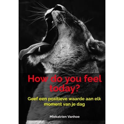 How Do You Feel Today? - Miekatrien Vanhoe