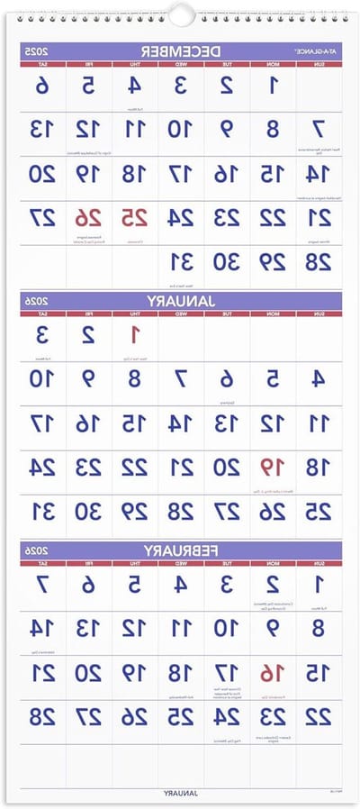 AT-A-GLANCE 2026 Wall Calendar, 30.5 cm x 68.5 cm, Large, Vertical Reference for 3 Months (PM112826)