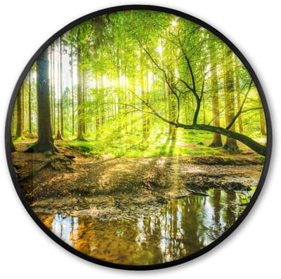 Poster in lijst Rond - Fotolijst 60x60 cm - Posters - Bos - Landschap - Water - Bomen - Zon - Groen - Natuur - Ronde posterlijst zwart - Decoratie - Wanddecoratie woonkamer - Muurdecoratie slaapkamer