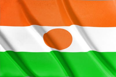 Vlag Niger | Alle Afrikaanse vlaggen | 52 soorten vlaggen | 200x100cm