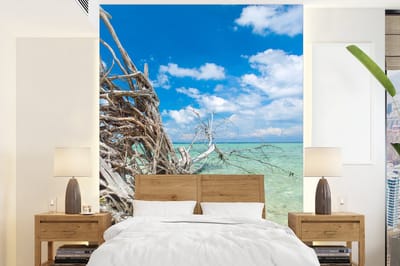 Behang - Fotobehang Strand - Takken - Tropisch - Zee - Breedte 160 cm x hoogte 220 cm