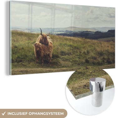 MuchoWow® Glasschilderij 40x20 cm - Schilderij acrylglas - Schotse Hooglanders - Gras - Wolken - Dieren - Foto op glas - Schilderijen