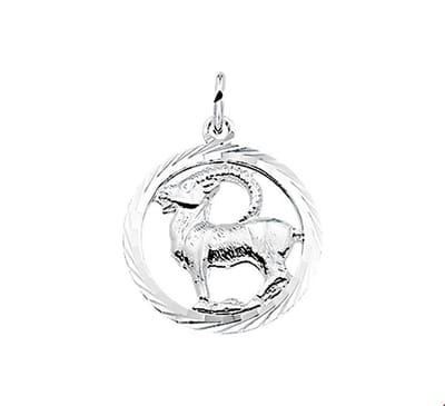 Hanger sterrenbeeld steenbok gediamanteerd - PSN1002787