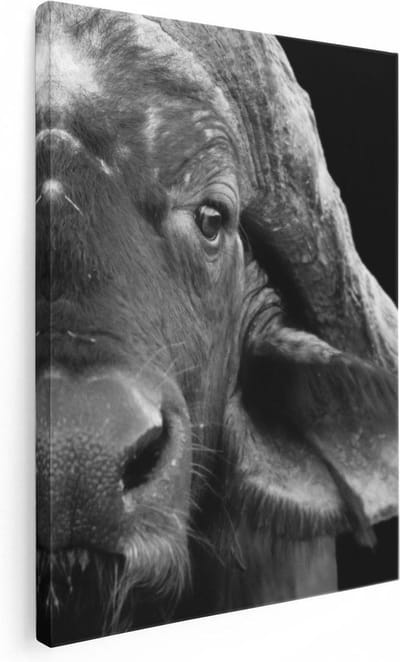 Artaza Canvas Schilderij Dierenkop - 30x40 cm - Klein - Wanddecoratie Buffel Afrika - Muurdecoratie Dieren - Kamer Accessoires