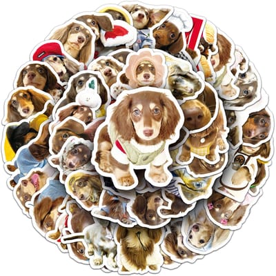 Winkrs | Honden stickers | Grappige Teckels | Hondjes, huisdieren, teckel, memes | 3/4cm - 50 stuks voor laptop, muur, koffer, etc.