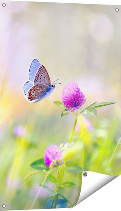 Gards Tuinposter Blauwe Vlinder bij een Paarse Bloem - 60x90 cm - Tuindoek - Tuindecoratie - Wanddecoratie buiten - Tuinschilderij