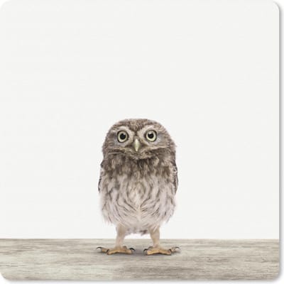 Muismat 20x20 cm - Mousepad Dieren - Wit - Uil - Muismatten
