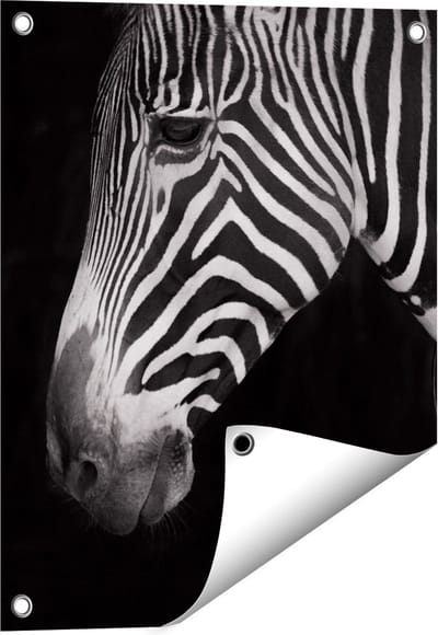 Gards Tuinposter Zebra Kop vanaf de Zijkant - Zwart Wit - 40x50 cm - Tuindoek - Tuindecoratie - Wanddecoratie buiten - Tuinschilderij