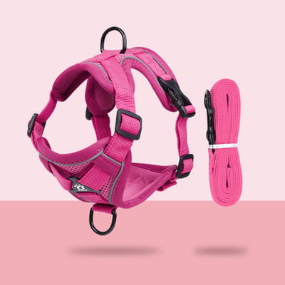 Kattentuig met riem, anti-ontsnapping, verstelbaar harnas met reflecterende strepen - voor katten, kittens, puppy's (M) - veiligheid en comfort in één product-Magenta