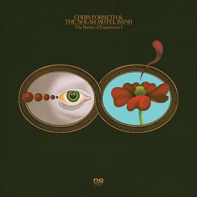 Chris Forsyth & The Solar Motel Band - The Rarity Of Experience (2 LP)