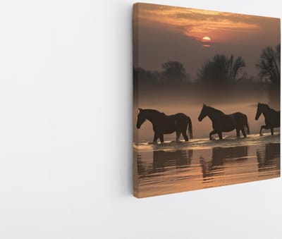 Saammp Canvas Schilderij - Paarden in het water met zonsondergang - Natuur - Dieren - 20x20 - Foto op canvas - Wanddecoratie - Muurdecoratie Woonkamer - Slaapkamer decoratie - Canvas Print