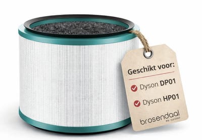 Brosendaal Vervangingsfilter geschikt voor Dyson Pure Cool Link & Pure Hot+Cool Link Luchtreiniger - HEPA Filter voor Dyson DP01, DP03, HP00, HP01, HP02, HP03