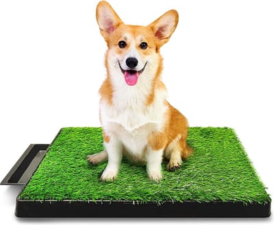 ElegaPet Indoor Huisdierentoilet met Kunstgras 63x51x6 cm - Zindelijkheidstraining voor katten & honden - Honden toilet - Katten toilet - Puppy Toilet - Kattenbak