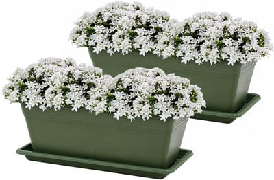 Plasticforte Plantenbakken met water opvangschotels - donkergroen - 2x stuks - 50 x 18 x 15 cm - tuin - balkon - terras - rechthoek