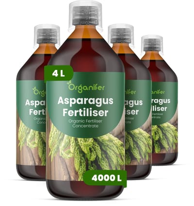 Vloeibare Meststof Voor Asperge 4X1L Voor 4000 L - Npk 2-1-8 - Krachtige Scheutproductie - Scheutdikte - Oogst Kwaliteit - Meerjarige Wortelstokken - Voorjaarsuitloop - Hittebestendig Waterregulatie - Diepe Wortelgroei - Loofgroei - Organifer