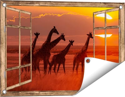 Gards Tuinposter Doorkijk Giraffe Kudde bij Zonsondergang - 60x40 cm - Tuindoek - Tuindecoratie - Wanddecoratie buiten - Tuinschilderij