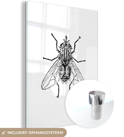 MuchoWow® Glasschilderij 30x40 cm - Schilderij acrylglas - Vlieg - Dieren - Vintage - Zwart wit - Foto op glas - Schilderijen