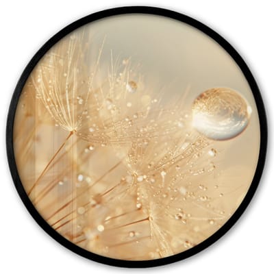Poster in lijst Rond - Fotolijst 40x40 cm - Posters - Paardenbloem - Water - Natuur - Planten - Modern - Ronde posterlijst zwart - Decoratie - Wanddecoratie woonkamer - Muurdecoratie slaapkamer